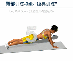 動作5:平直后踢腿