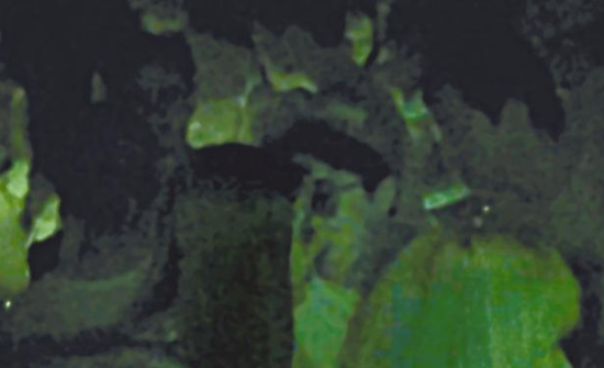 房祖名去年被港媒直擊在中環夜店與長發妞互動曖昧,女生正是Nana