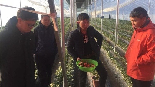 助力第一書記 農(nóng)村廣播再次走進(jìn)刁家鄉(xiāng)助推草莓產(chǎn)業(yè)扶貧 助力第一書記 農(nóng)村廣播再次走進(jìn)刁家鄉(xiāng)助推草莓產(chǎn)業(yè)扶貧