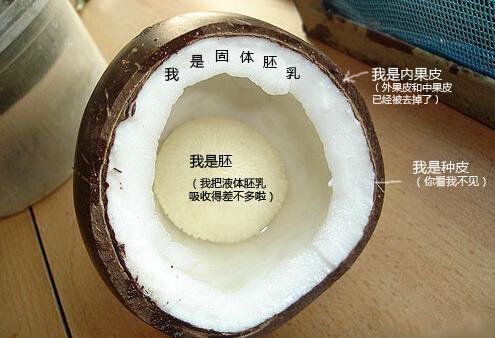 你在甜品店常吃的東西，到底都是啥？