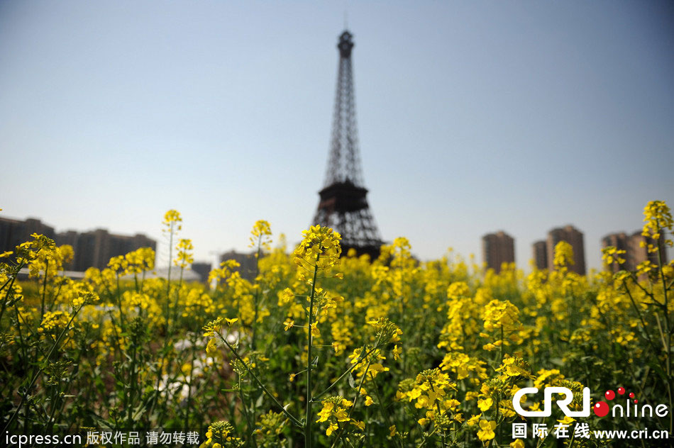 　2014年3月21日，杭州天都城，農民在山寨埃菲爾鐵塔下耕作。圖片來源：東方IC