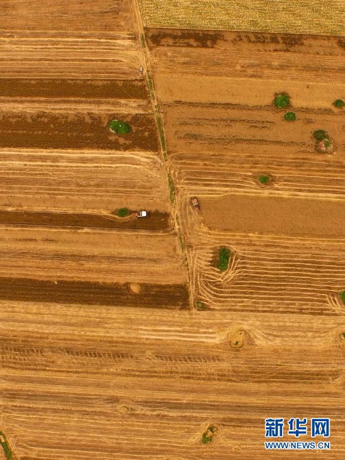這是5月28日在河南省南陽市唐河縣甘河灣村航拍的麥收現場。 這是5月28日在河南省南陽市唐河縣甘河灣村航拍的麥收現場。