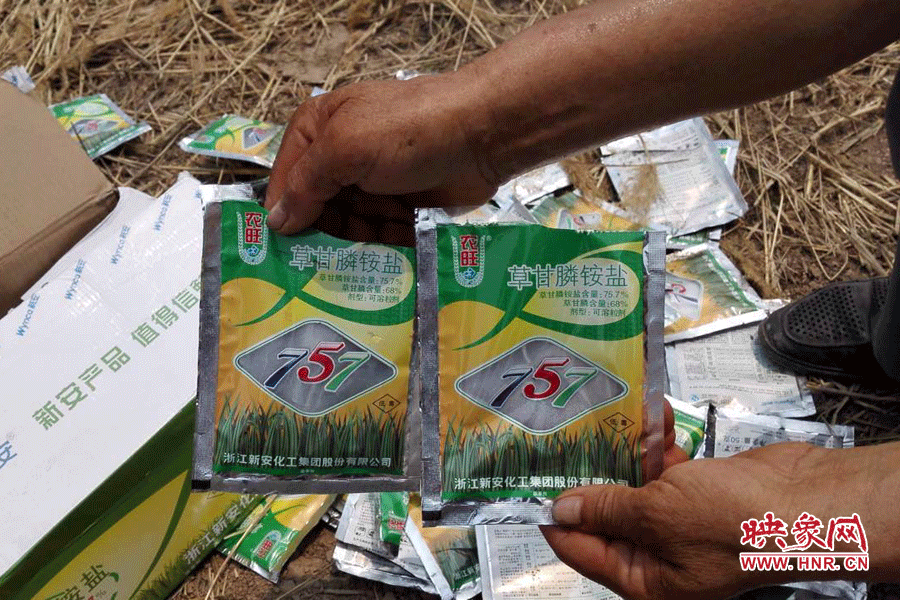 毀掉玉米的農藥袋散落在地頭。