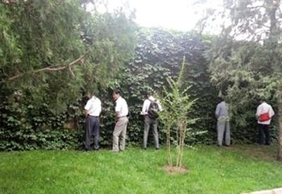 6月30日，頤和園內(nèi)綠地上，多名游客在小解。 網(wǎng)友“攝影老鬼” 攝