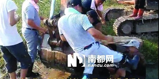 幾名戴黑帽的男子將一名老人推入水塘,后反復腳踹。 幾名戴黑帽的男子將一名老人推入水塘,后反復腳踹。