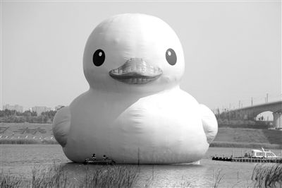 昨日，經(jīng)過(guò)連夜修正，大黃鴨的嘴部已恢復(fù)變寬，和在香港展出時(shí)看起來(lái)一樣。