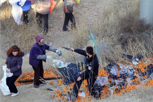 蘭州貨車側翻橘子遭百余村民哄搶，警察拔槍制止