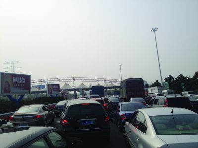 收費(fèi)站前長長排隊(duì)的車輛。陳郁