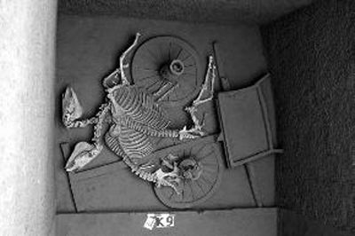 涇陽(yáng)發(fā)現(xiàn)376座古墓還有6座車(chē)馬坑 涇陽(yáng)發(fā)現(xiàn)376座古墓還有6座車(chē)馬坑
