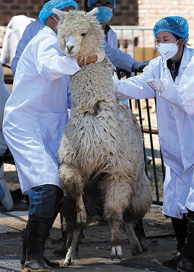 好強壯！我真的不是虛胖，兩三個人別想控制我。