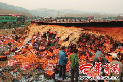 附近村民和交警一起幫厙師傅撿拾轉(zhuǎn)運(yùn)散落的橘子 附近村民和交警一起幫厙師傅撿拾轉(zhuǎn)運(yùn)散落的橘子