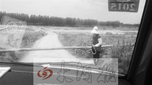 中年婦女攔路收費 中年婦女攔路收費