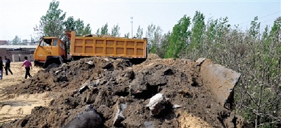 垃圾將生態(tài)涵養(yǎng)林給埋住了。