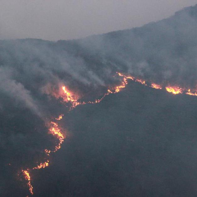 楚雄突發森林大火