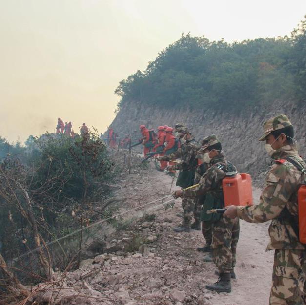 楚雄突發森林大火