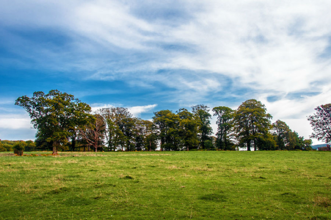 優雅的城堡:蘭海德羅克