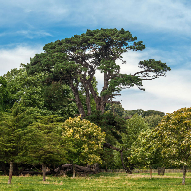 優雅的城堡:蘭海德羅克