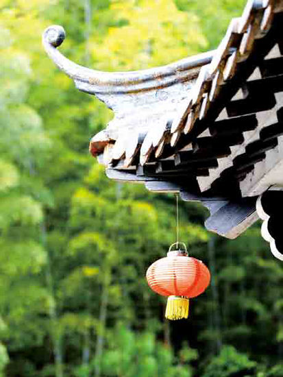 陽春三月赴江南 來一場春的約會 陽春三月赴江南 來一場春的約會