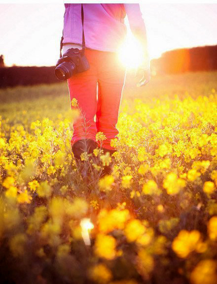 如何拍攝油菜花？達人教你7個拍攝技巧