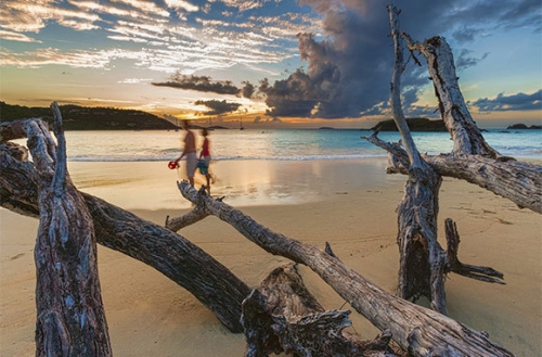 出行去哪兒不用愁 細數全球春季實惠旅行地