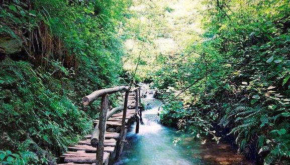 花香春天里 重渡踏歌行 花香春天里 重渡踏歌行