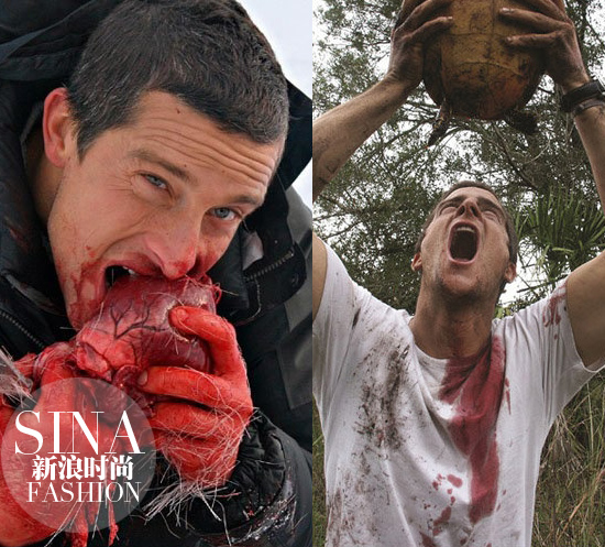 動物內臟&烏龜的血…… 動物內臟&烏龜的血……