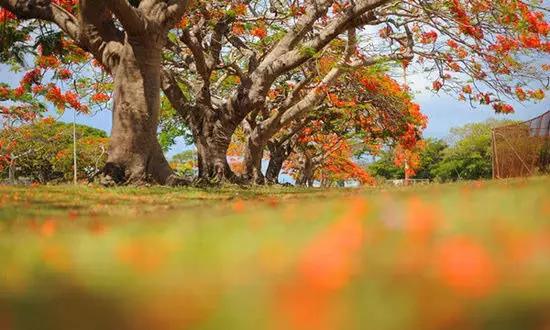 適合在冬天旅游的十個(gè)絕美海島! 適合在冬天旅游的十個(gè)絕美海島!