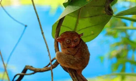 適合在冬天旅游的十個(gè)絕美海島! 適合在冬天旅游的十個(gè)絕美海島!