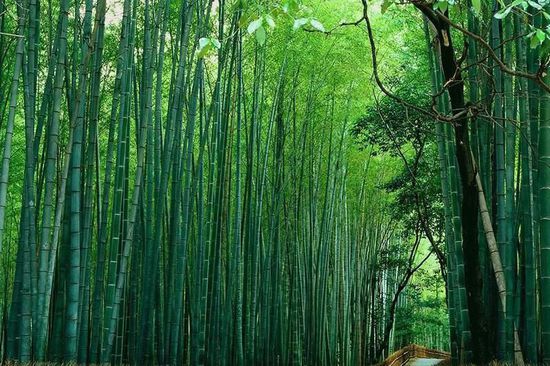 一起到影視大片中的四川美景走走 一起到影視大片中的四川美景走走