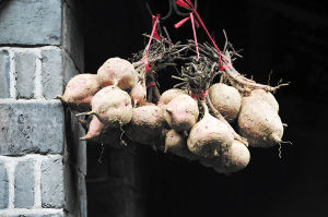 湘西黔陽古城 濃縮兩千年光和影 湘西黔陽古城 濃縮兩千年光和影