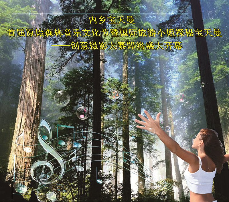 寶天曼音樂文化節 寶天曼音樂文化節