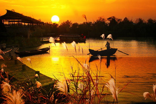樂享綠色夏日 濕地公園生態親水之旅