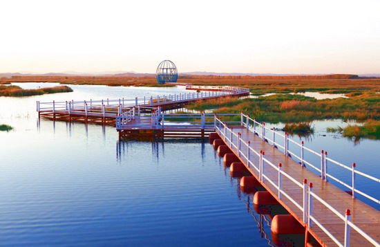 樂享綠色夏日 濕地公園生態親水之旅