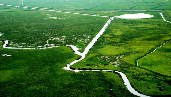 樂享綠色夏日 濕地公園生態親水之旅