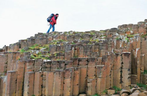 5000萬年前的自然遺產 5000萬年前的自然遺產