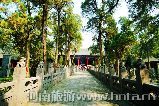 國際博物館日洛陽多家博物館免費開放 國際博物館日洛陽多家博物館免費開放