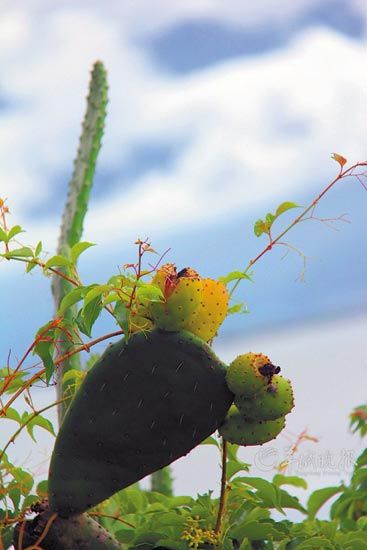 大理雙廊小村:避世絕塵的慢生活 大理雙廊小村:避世絕塵的慢生活