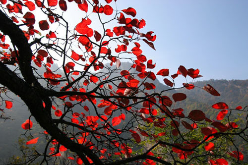 龍峪灣森林徒步中秋啟動 “混搭風”引領金秋時尚 龍峪灣森林徒步中秋啟動 “混搭風”引領金秋時尚