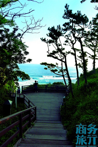 晨間漫步濟(jì)州島 迷走“偶來小路” 晨間漫步濟(jì)州島 迷走“偶來小路”