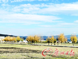 大理洱海湖畔美麗的鄉村景色。 大理洱海湖畔美麗的鄉村景色。