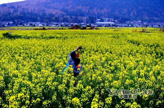不論從人文氣息還是田園自然風光,都值得我們停靠。(圖片來源:CFP) 不論從人文氣息還是田園自然風光,都值得我們停靠。(圖片來源:CFP)