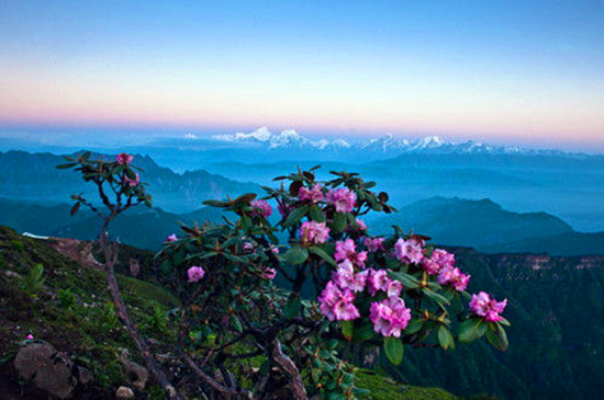 女人如花 隨侍甄嬛娘娘賞花去 女人如花 隨侍甄嬛娘娘賞花去