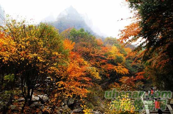 深秋去堯山賞紅葉、泡溫泉、拜大佛 深秋去堯山賞紅葉、泡溫泉、拜大佛