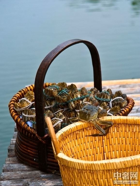 陽澄湖滋味“蟹”逅 費爾蒙嘗盡時令大閘蟹 陽澄湖滋味“蟹”逅 費爾蒙嘗盡時令大閘蟹