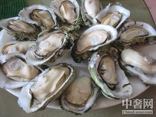 北半球好蠔不止法國 美加鮮味更足 北半球好蠔不止法國 美加鮮味更足