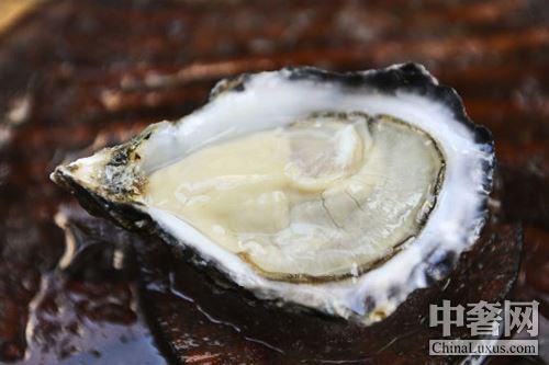 北半球好蠔不止法國 美加鮮味更足 北半球好蠔不止法國 美加鮮味更足