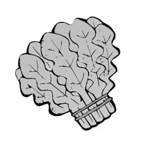 雪后菜價瘋漲15倍?沒恁夸張 元旦豬肉雞蛋或漲價 雪后菜價瘋漲15倍?沒恁夸張 元旦豬肉雞蛋或漲價