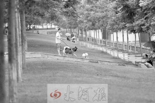 惡犬傷人事件頻發急需相關部門立法 惡犬傷人事件頻發急需相關部門立法