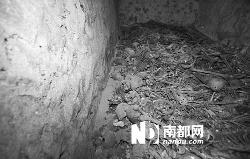 5月29日,在以色列特拉維夫市雅法地區(qū),一處集體墳?zāi)贡话l(fā)現(xiàn)。 5月29日,在以色列特拉維夫市雅法地區(qū),一處集體墳?zāi)贡话l(fā)現(xiàn)。