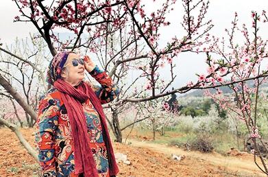 公式“時尚奶奶”的賞花照，收獲了好多人的點贊。 受訪者供圖